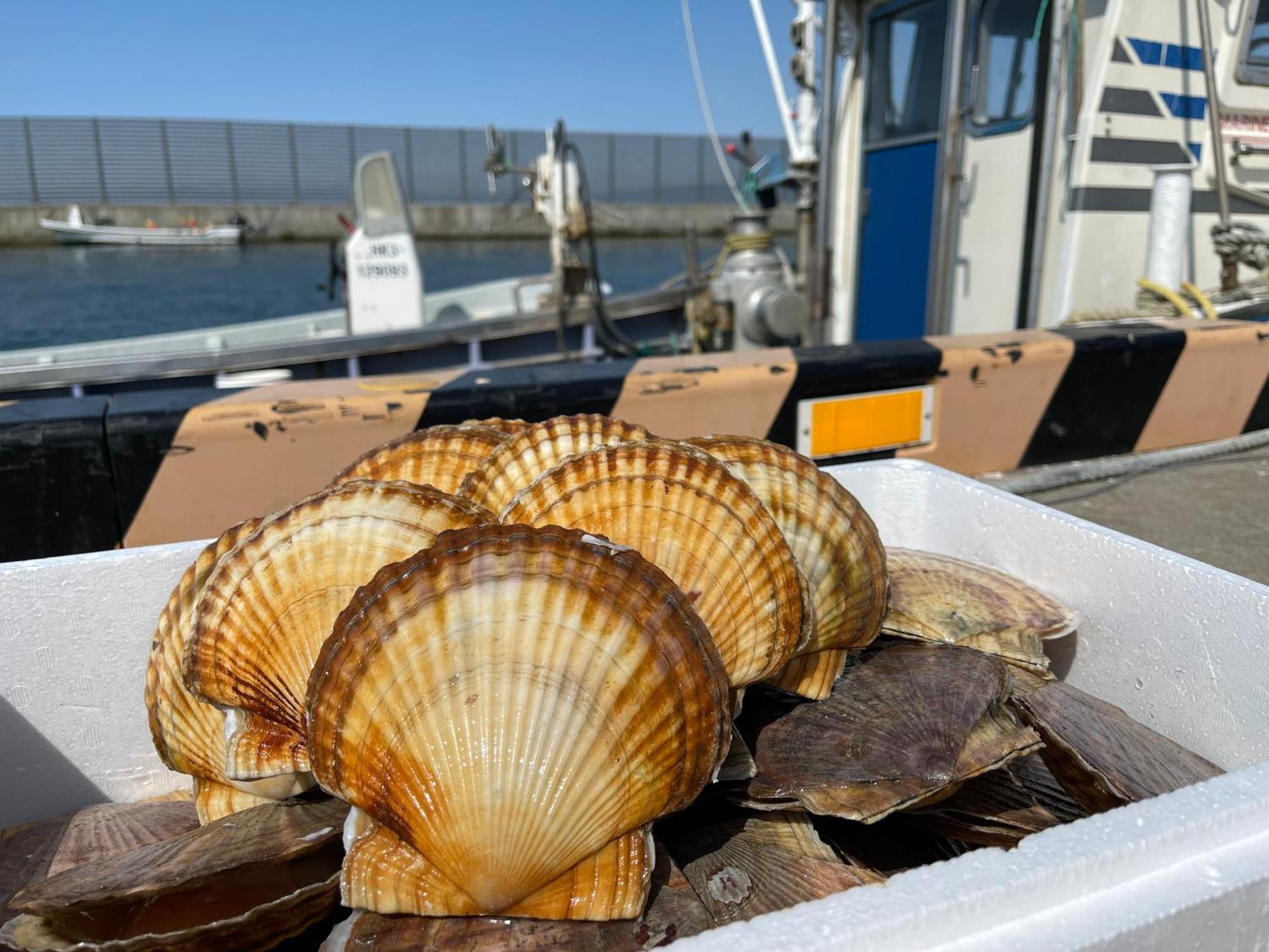 オホーツクの海の幸が食べられる 漁師の家ゲストハウスohana 網走市 エクステリア 写真